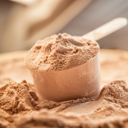 Protein Powders